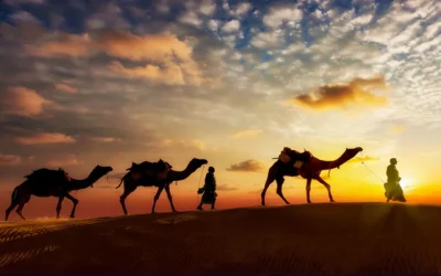 كل البدايات هجرة